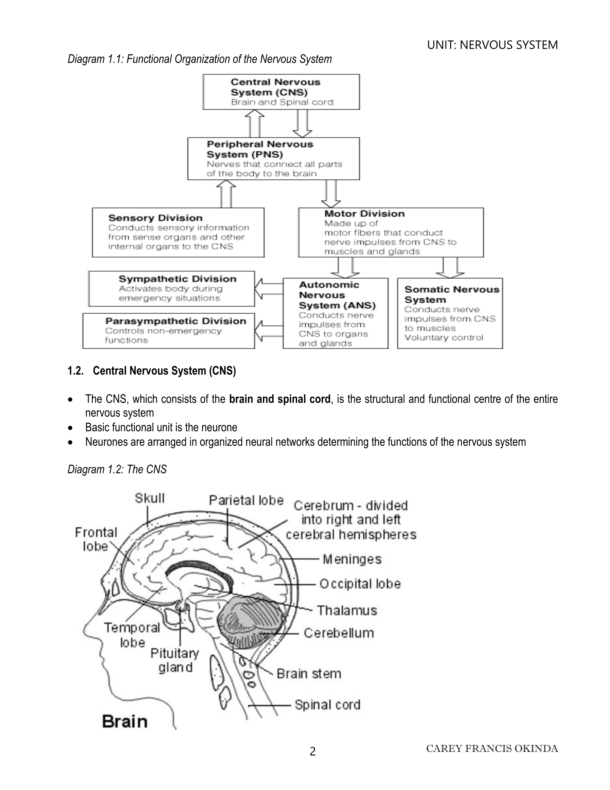 No preview available